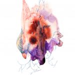 Oiseaux