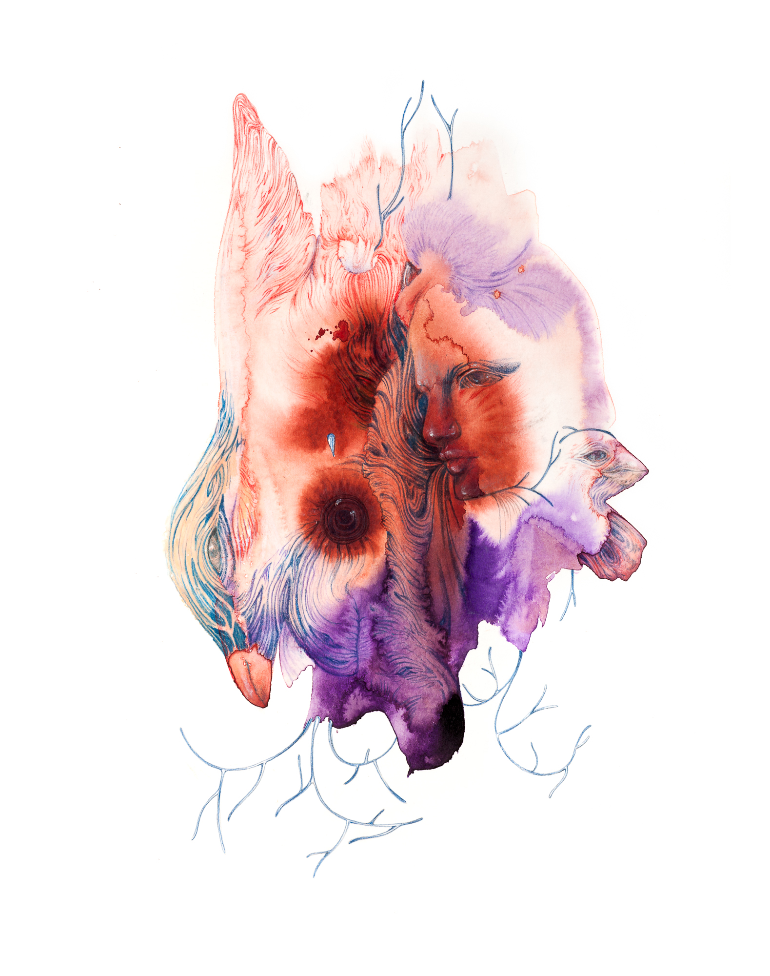 oiseaux-5