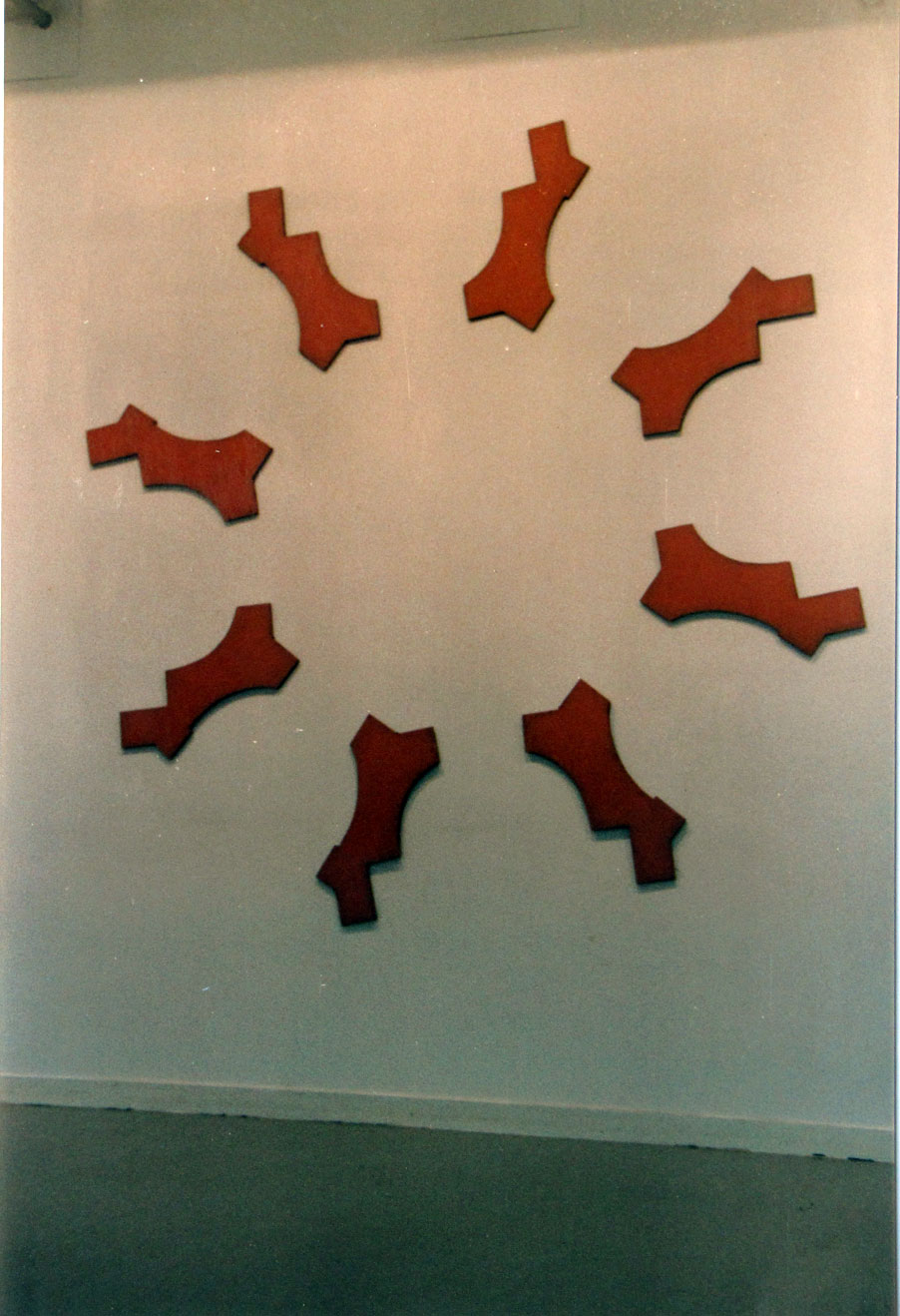 salpetriere-2