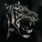 Tigre