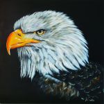 Aigle 