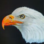 K-roline - Aigle 
