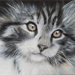 Chat 
