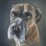 K-roline - Chien \