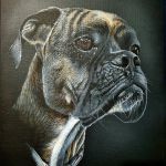 K-roline - Chien \