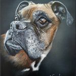 K-roline - Chien \