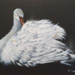 K-roline - Cygne 
