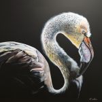 K-roline - Flamant rose \