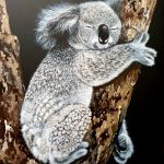 K-roline - Koala 