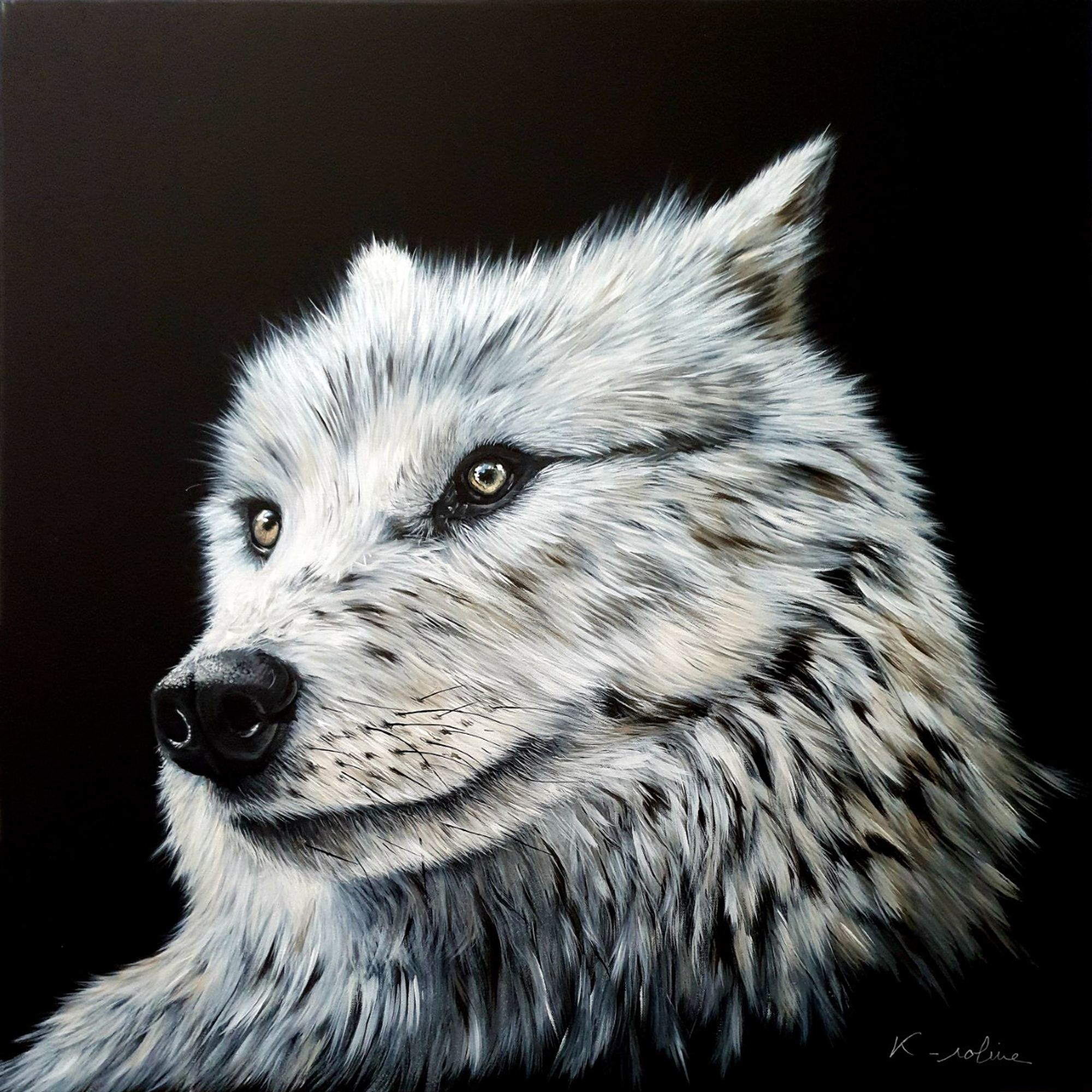 k-roline-loup-il-y-a-comme-un-loup