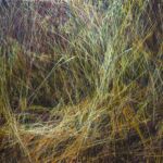 la lumière des origines par Charles Belle