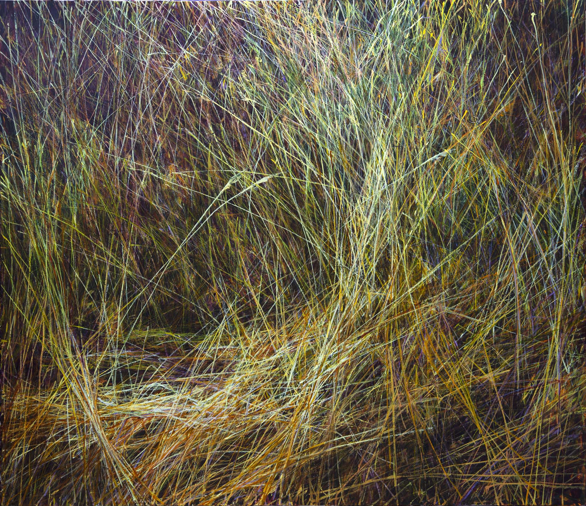 la-lumiere-des-origines