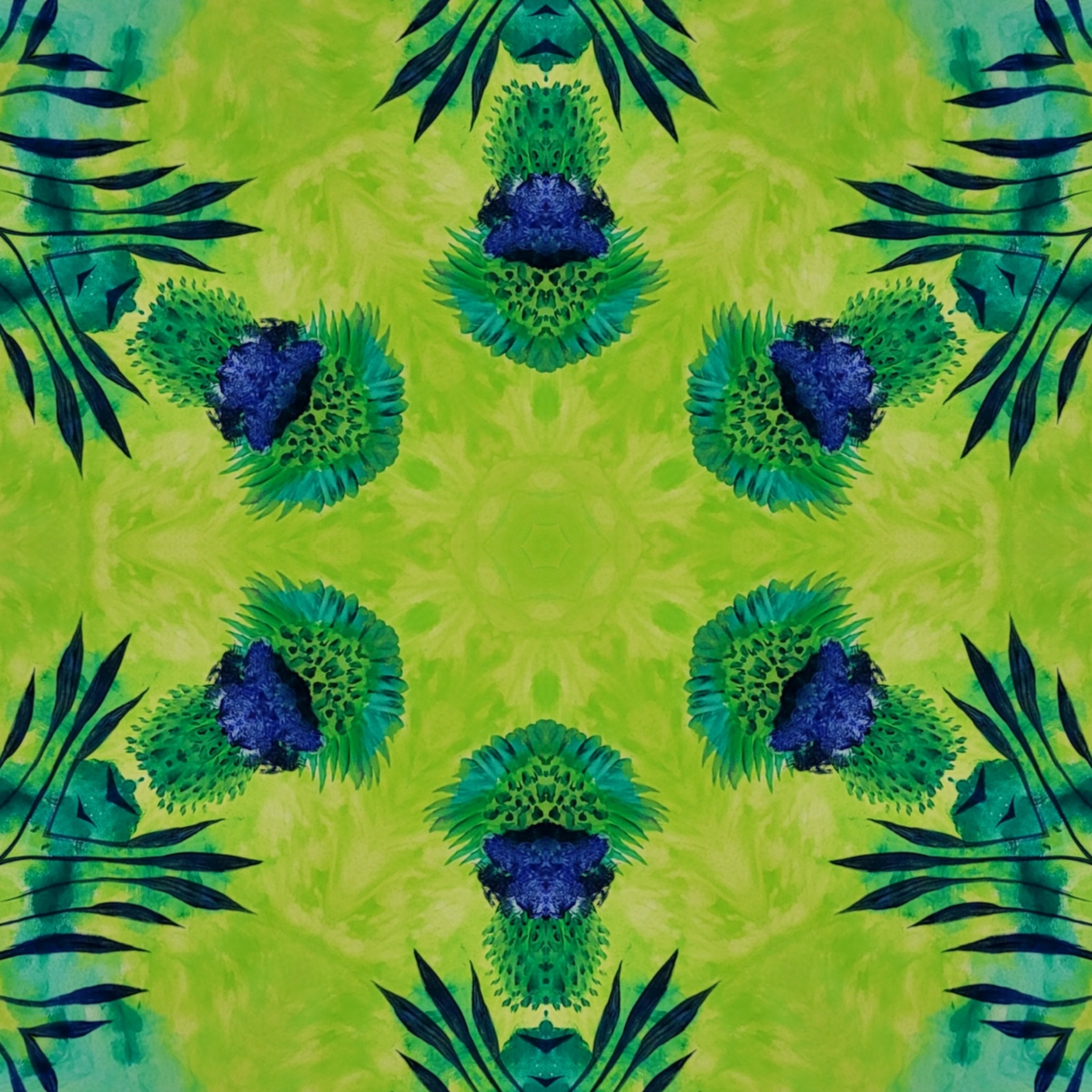 oeillets