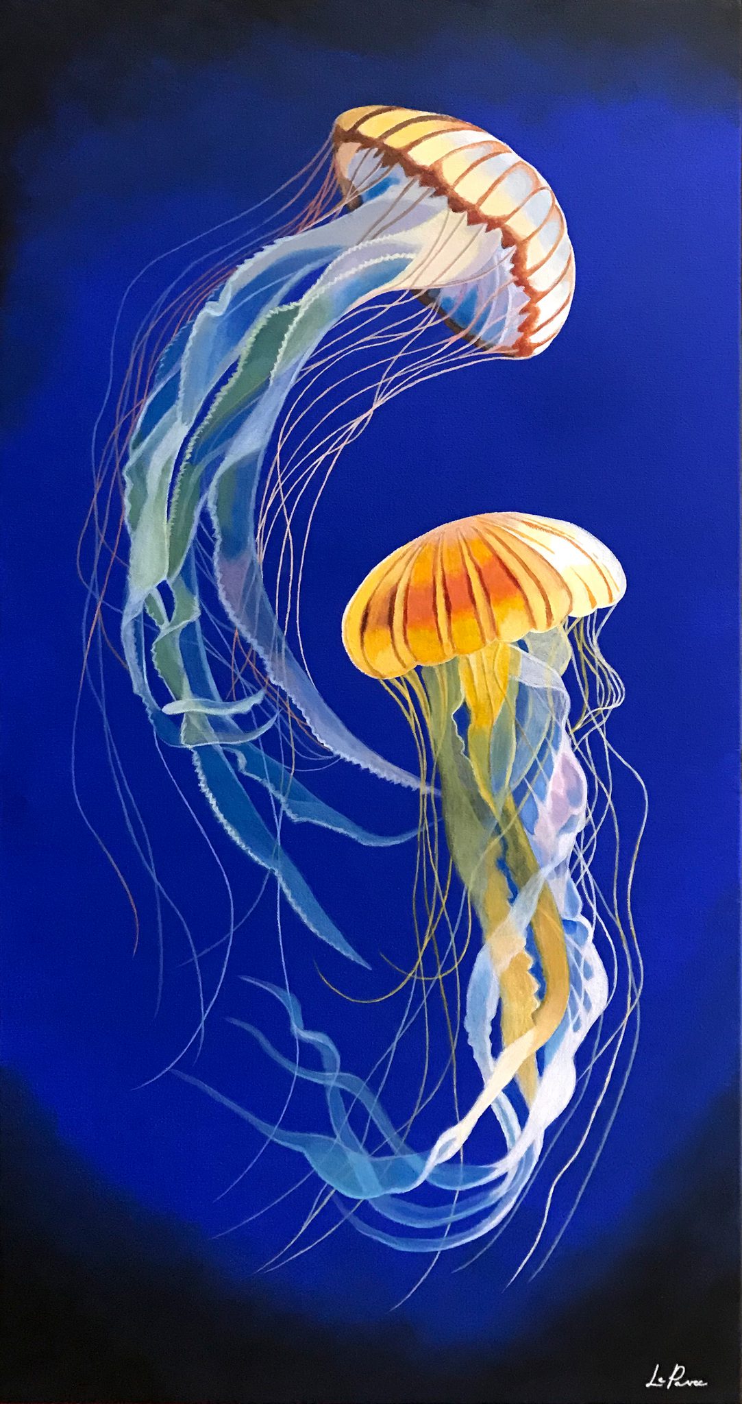 ballet-de-meduses
