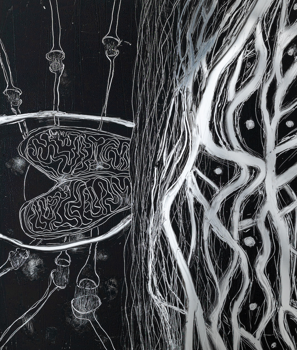 serie-interactions-detail