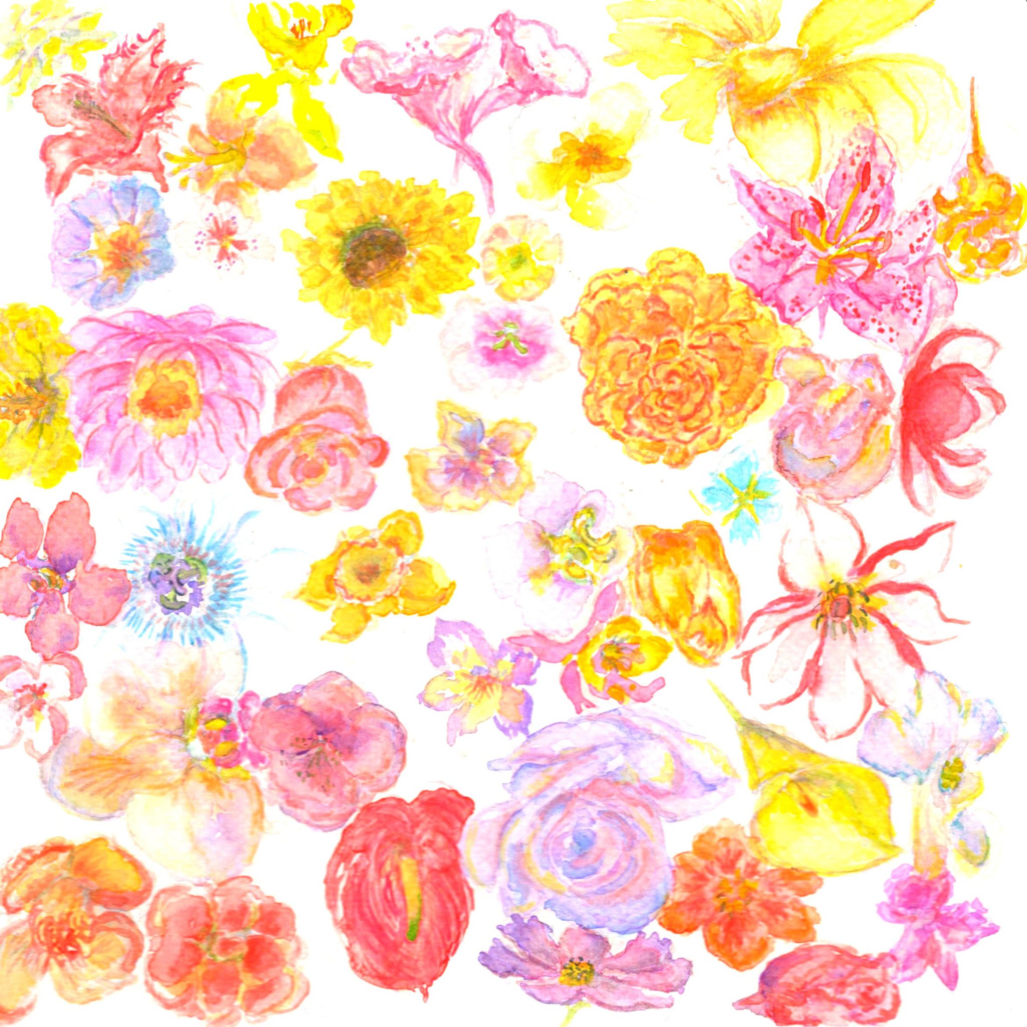 parfum-floral-vendu