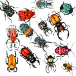 Scarabées sacrées (Vendu)