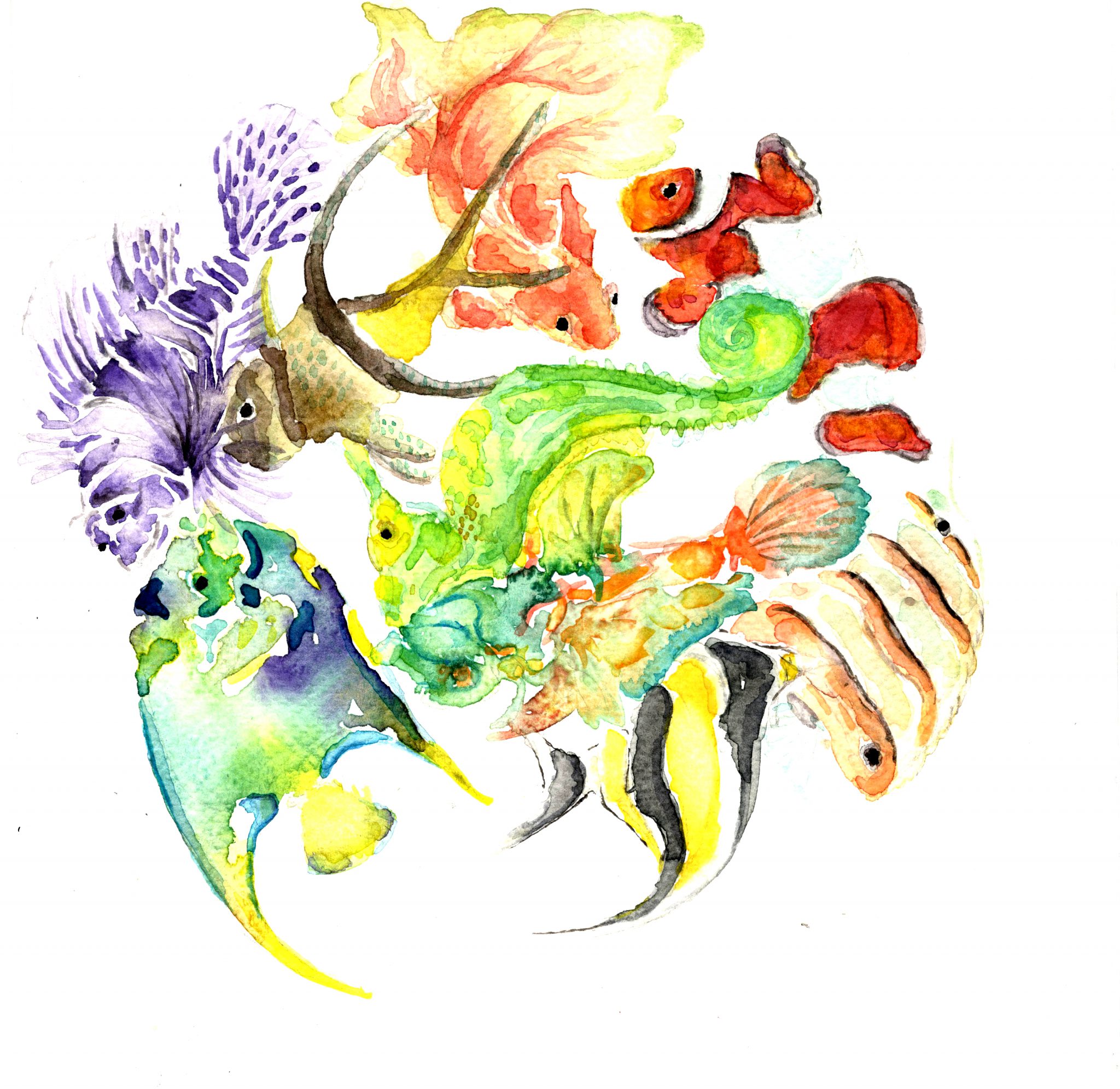 vortex-tropical-tropical-vortex