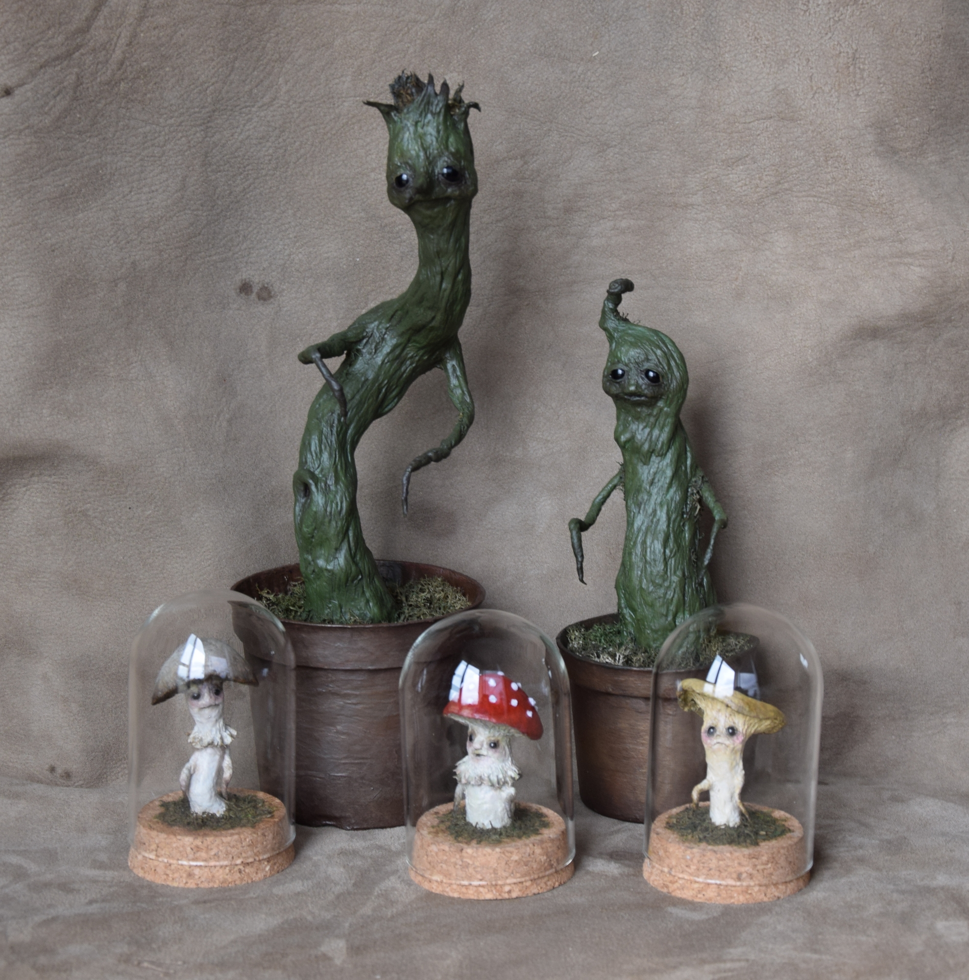 collection-horticulture-feerique