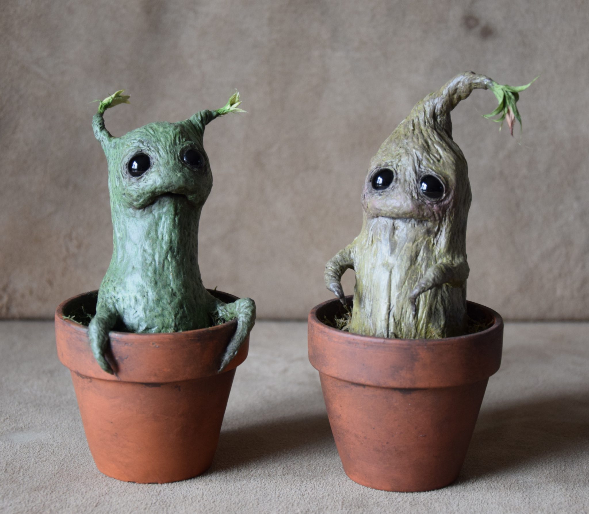 collection-horticulture-feerique-3