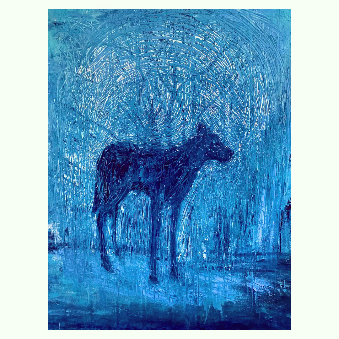 chien-bleu-2
