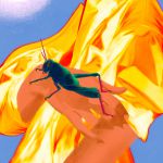 L\'estivale