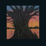 arbre vénérable -coucher de soleil