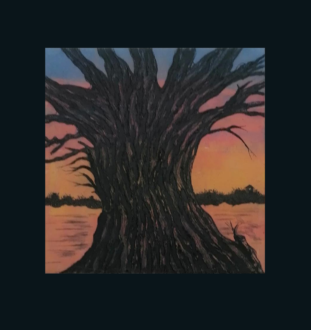 arbre-venerable-coucher-de-soleil