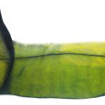 fragment de voyage