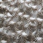 Holistic soil