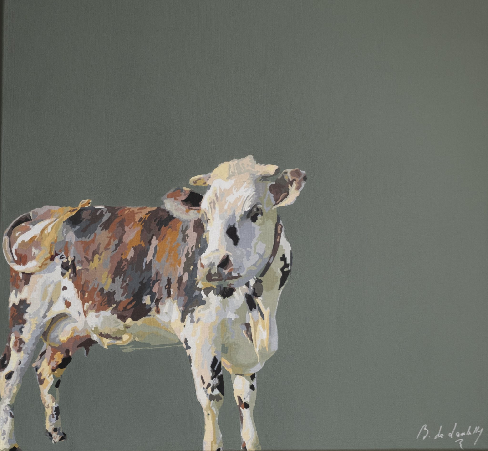 vache-normande