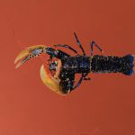 Homard du marché 2