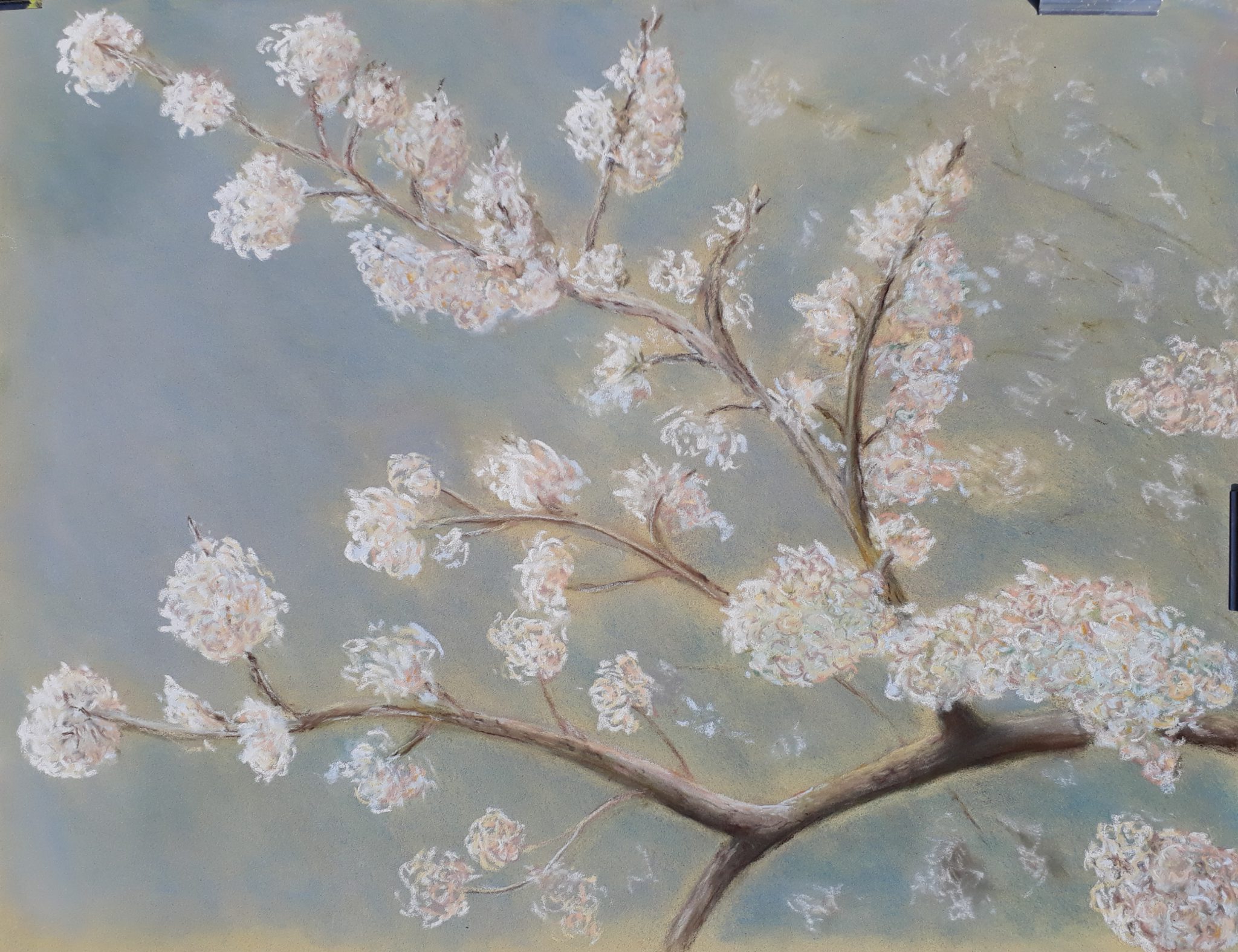 branche-de-cerisier-hommage-a-van-gogh