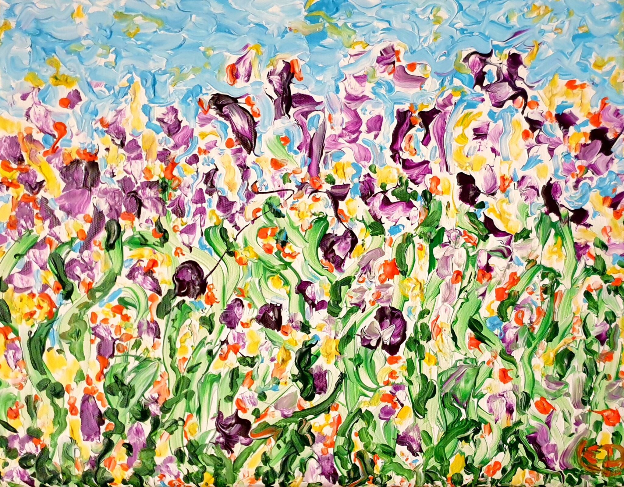 prairie-fleurie-violette
