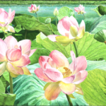 Lotus par Christine Goller