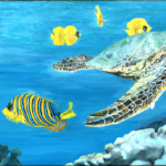 Bébé tortue dans le monde du silence par Christine Goller
