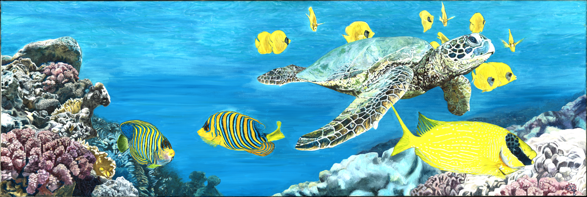 bebe-tortue-dans-le-monde-du-silence