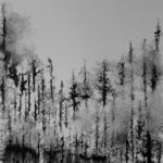 aquarelle-o-salembier-29-10-2024-f par OLIVIER SALEMBIER