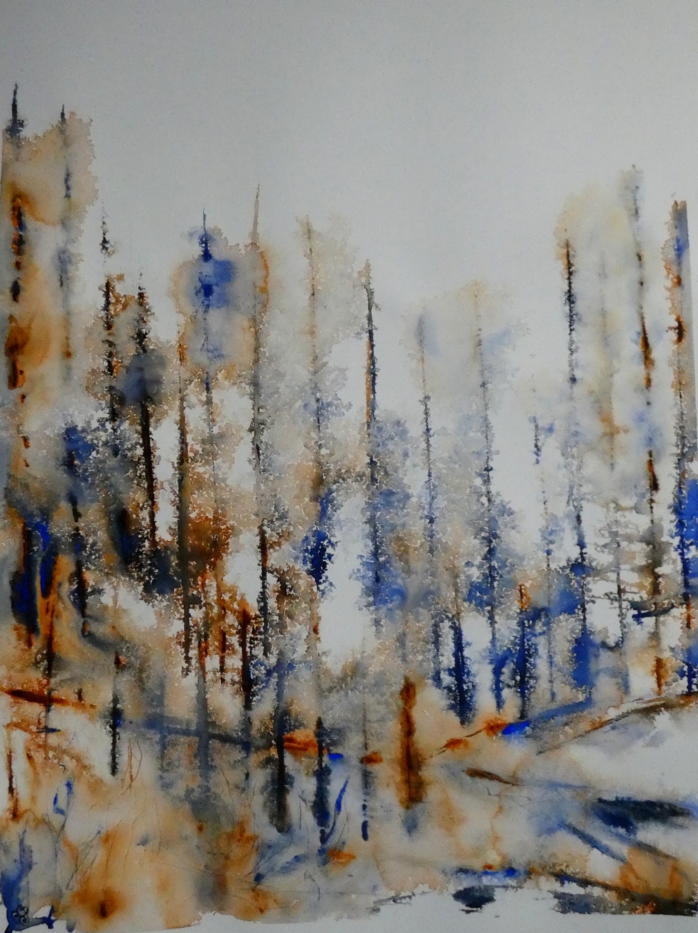 aquarelle-o-salembier-30-01-2025-f