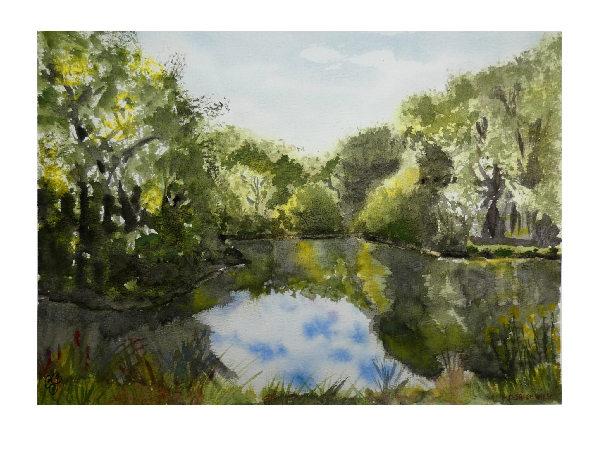 aquarelle-o-salembier-parc-des-gayeulles-rennes-f