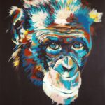 Bonobo