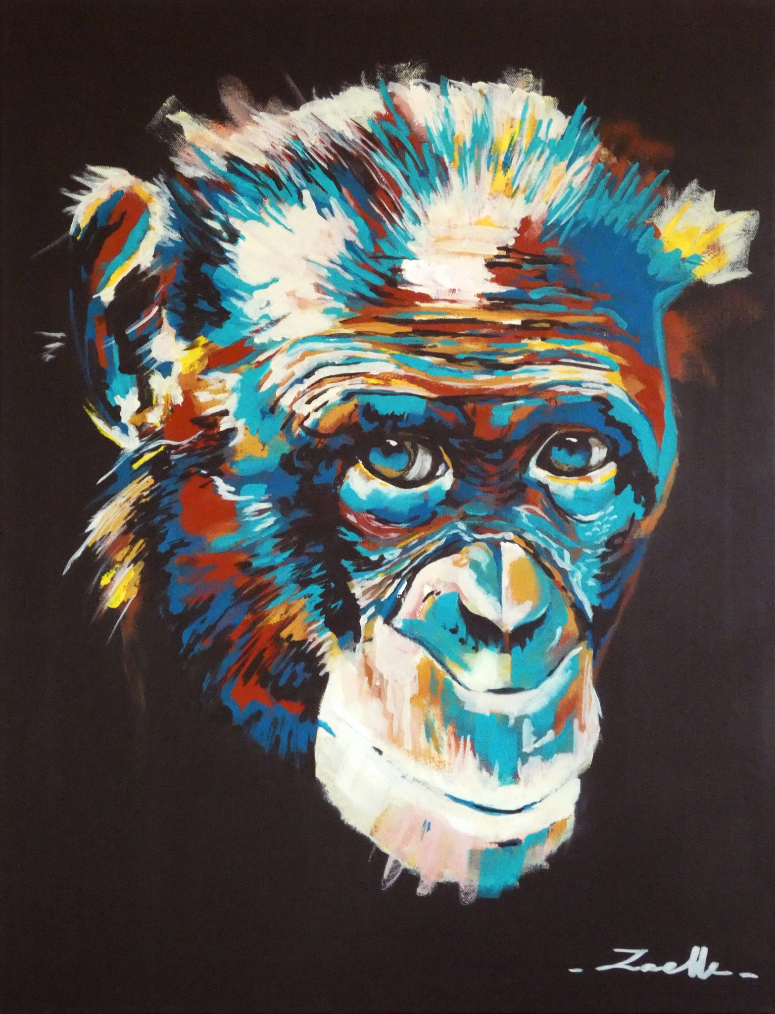 bonobo
