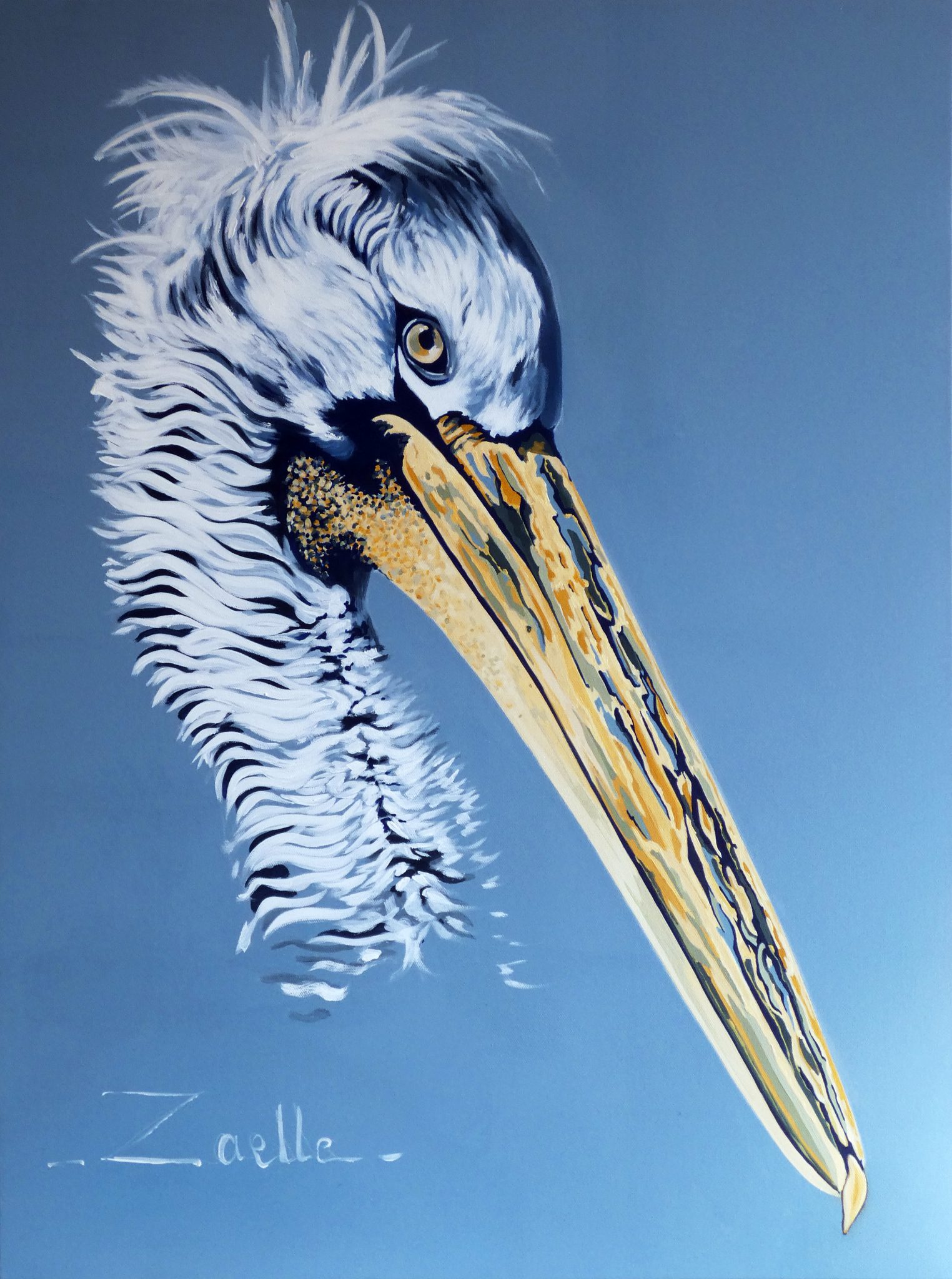 pelican