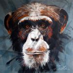 Primate