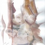 D\'après le nu