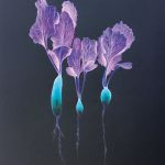 Radis de l'espace