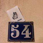 Papillon6