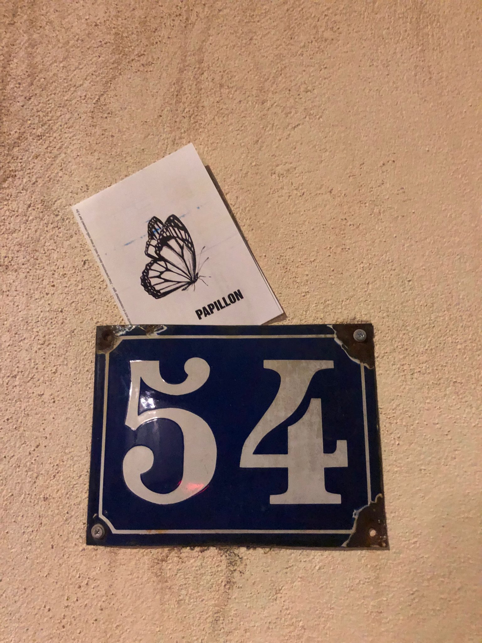 papillon6