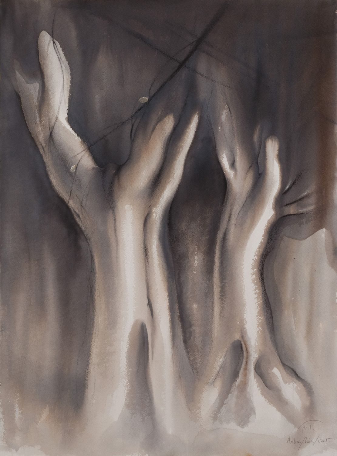 arbres6