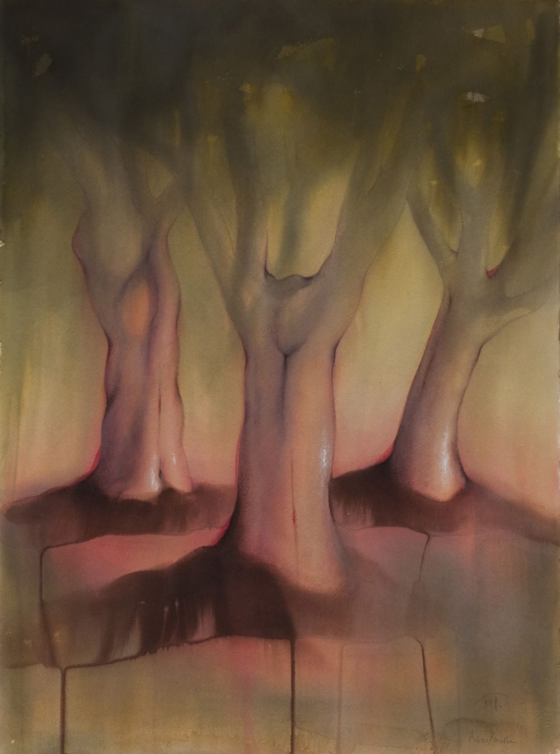 arbres7
